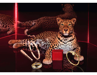 Cartier – генії символізму